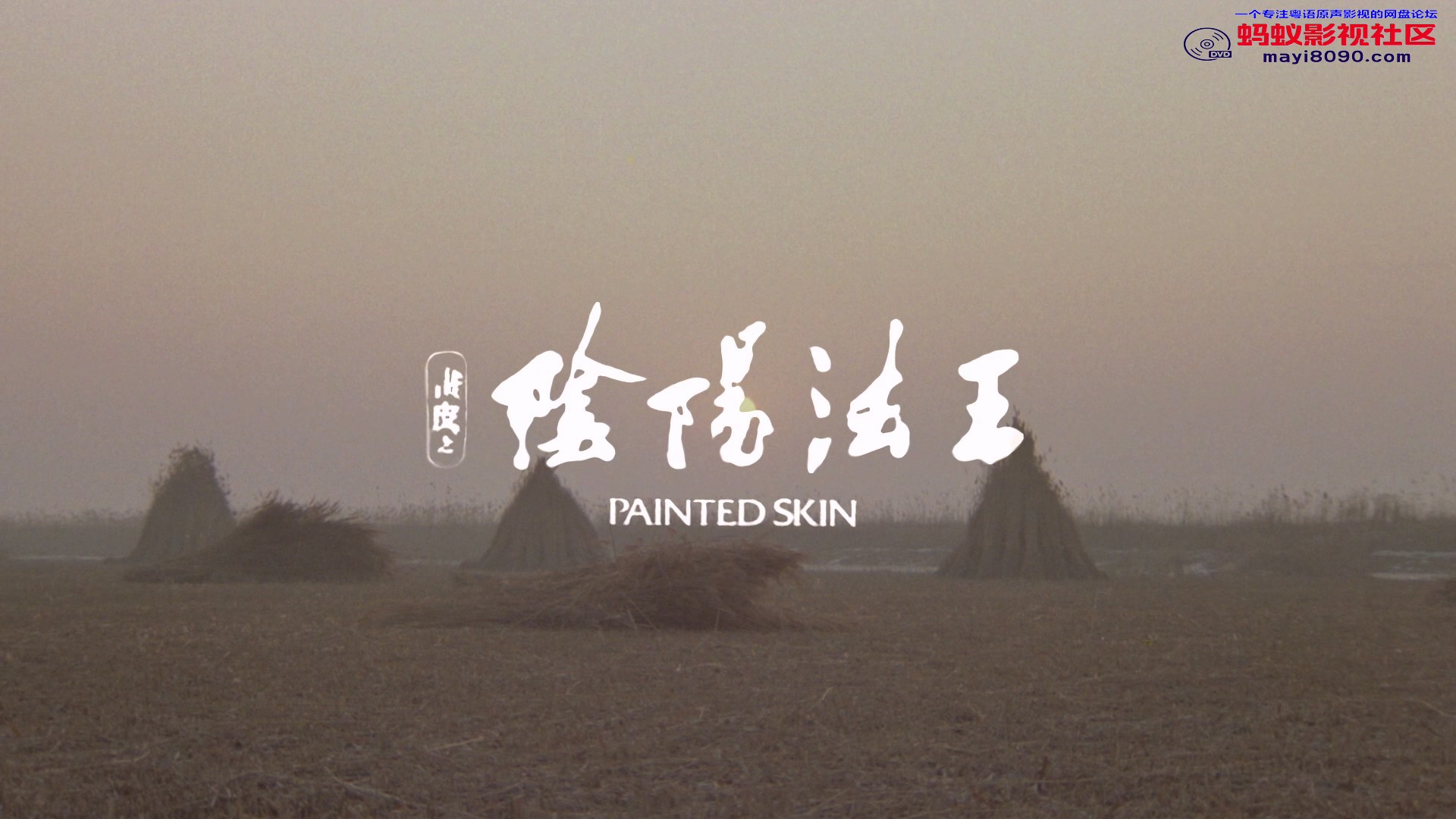 画皮之阴阳法王 粤语国语.mkv_20240515_231042.866.jpg