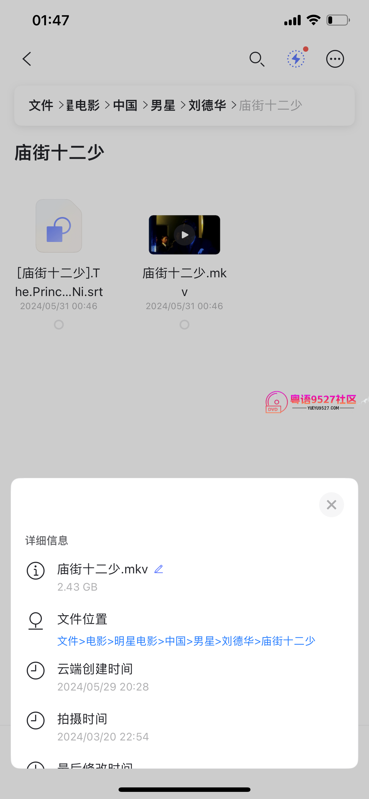 IMG_3651.png