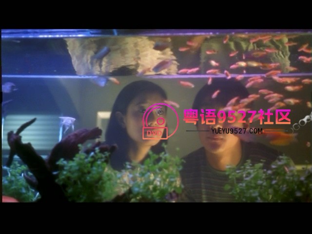 玻璃之城 1998 张婉婷 480p AC3, AC3 tt0179110.mkv_014048.573.jpg